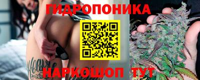 индика Севастополь