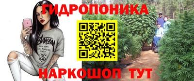 индика Севастополь